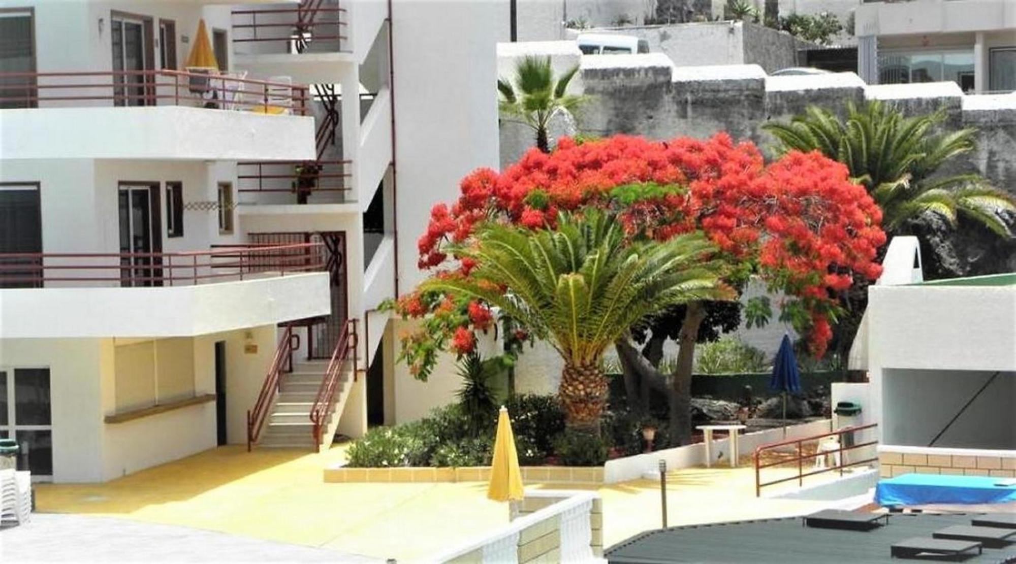Apartamento Sol & Arena Puerto de Santiago  Zewnętrze zdjęcie